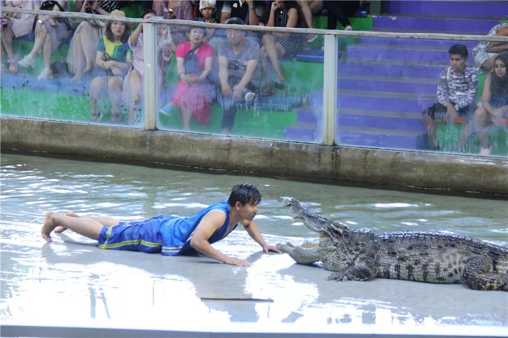 泰国交流｜万中遇上易三仓，这个夏天太美好！