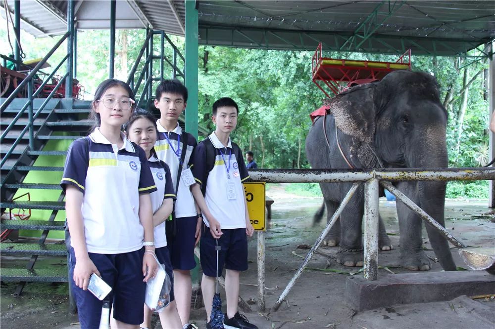 泰国交流｜万中遇上易三仓，这个夏天太美好！