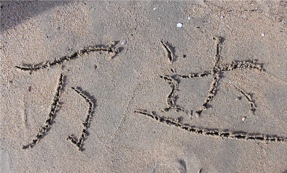 泰国交流｜万中遇上易三仓，这个夏天太美好！