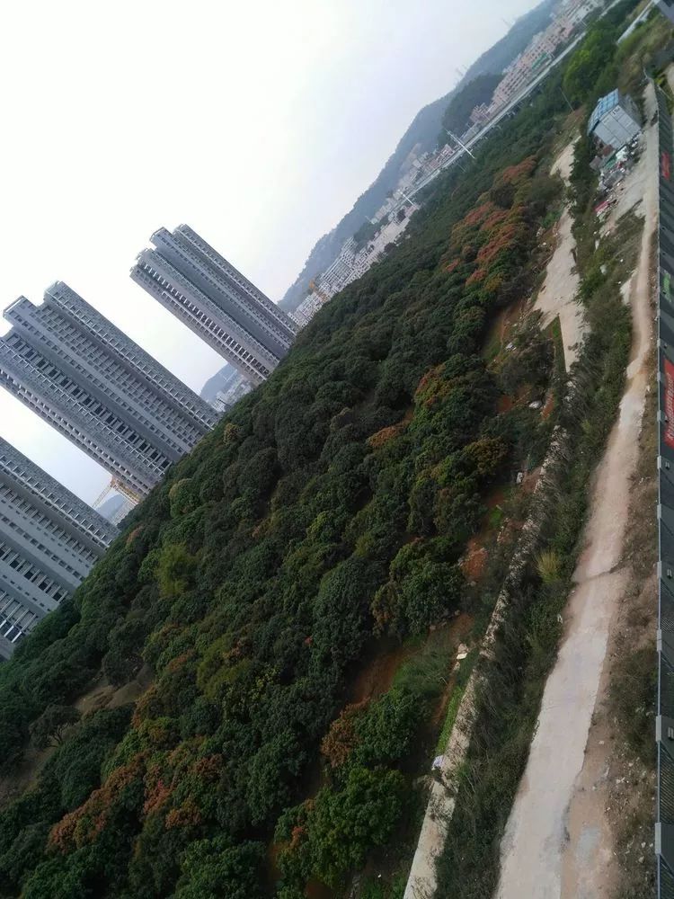 养多肉一个人就可以玩到天荒地老,养多肉的幸福其实很简单