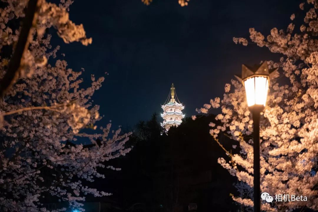 网友投稿实拍,网友投稿p图