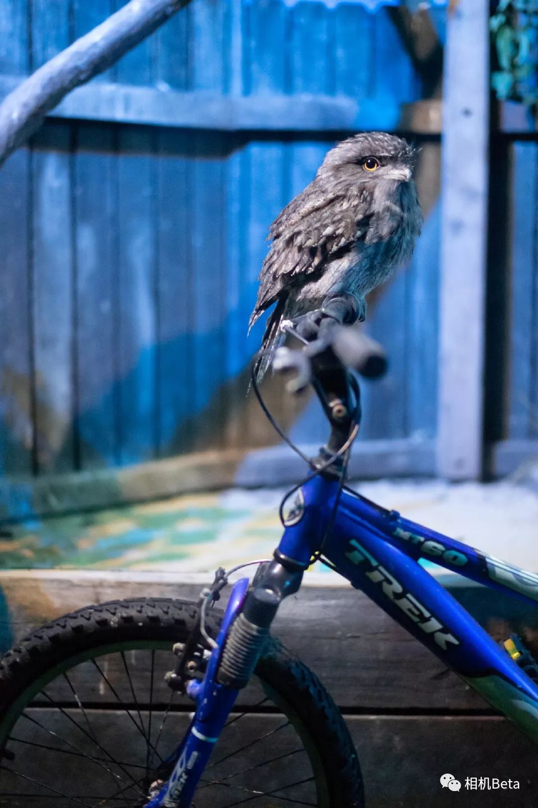 网友投稿实拍,网友投稿p图