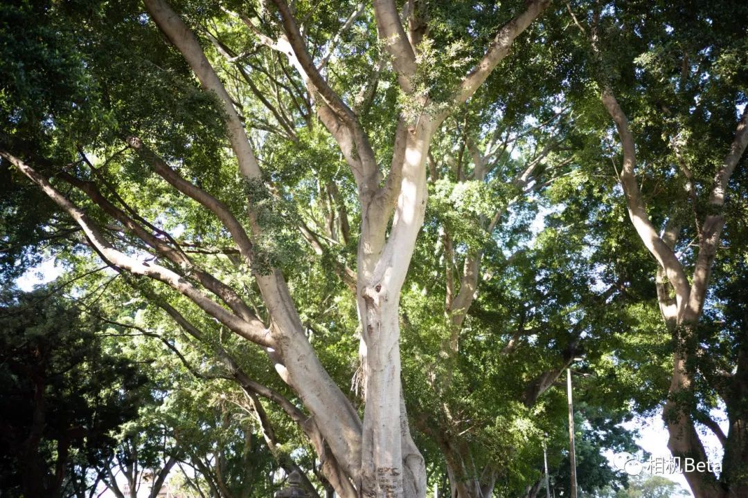 网友投稿实拍,网友投稿p图