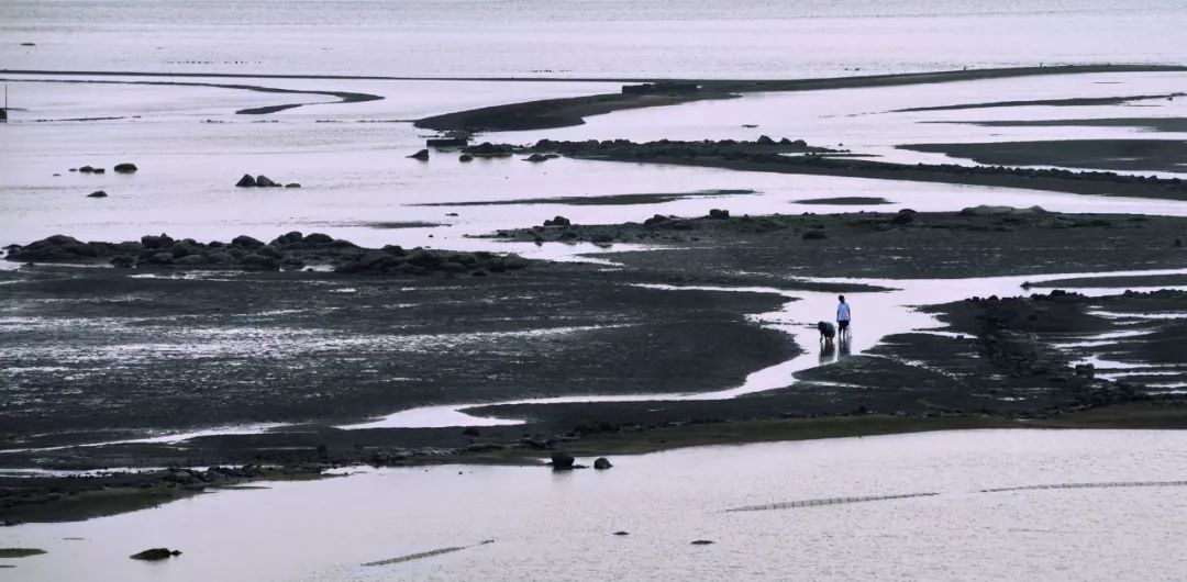 茂名拍摄艺术照,广东茂名的摄影