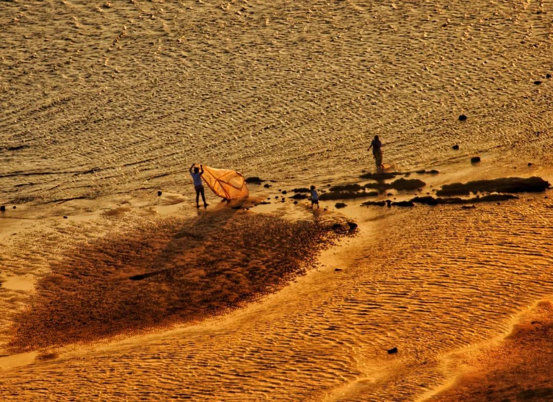 茂名拍摄艺术照,广东茂名的摄影