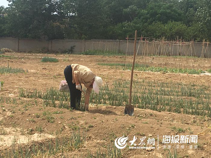 致敬高温下的菏泽户外工作者：手臂晒出“黑白分界线”