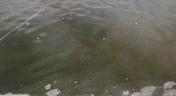 池塘浮泥皮要怎么处理,池塘起泥皮怎么处理