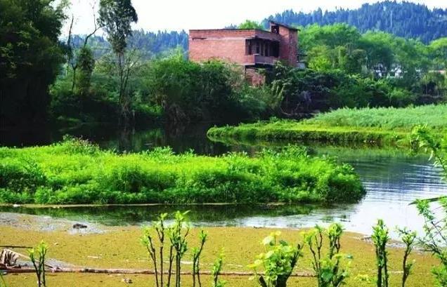 安岳柠檬小镇旅游攻略,四川安岳十大旅游攻略