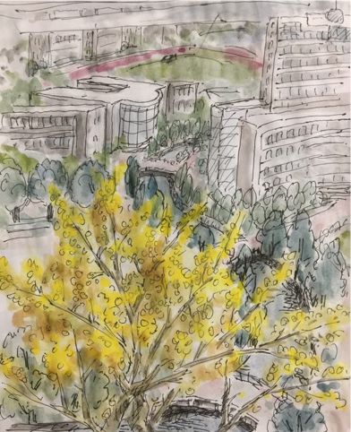 流向远方歌曲原唱,流向远方歌曲