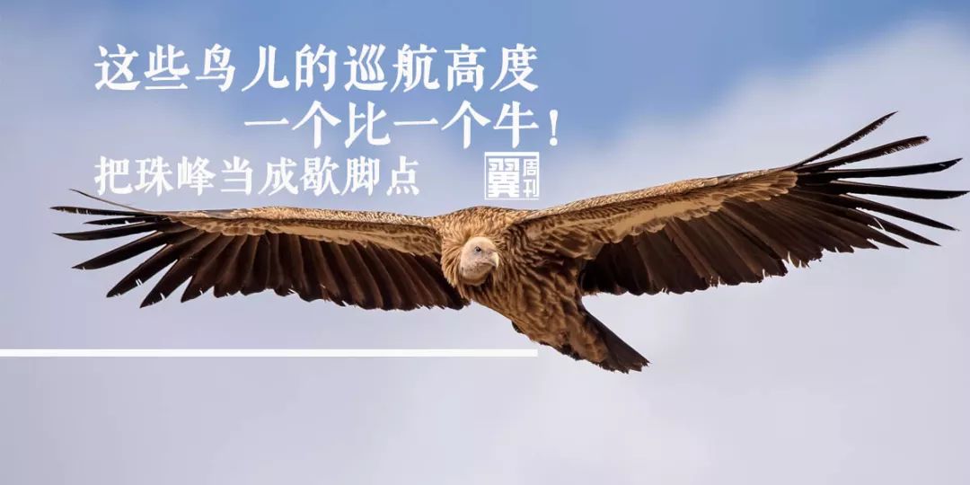 体验19个小时飞机,体验时间最长的航班