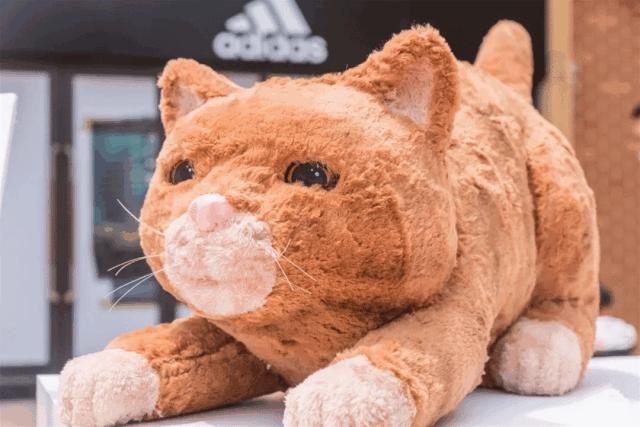 迪诺水镇冰激凌,迪诺水镇最新消息