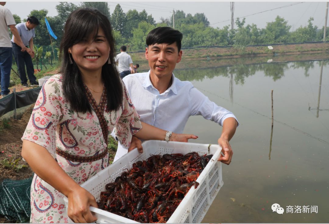 陕南养殖淡水龙虾,陕南哪里有养殖龙虾