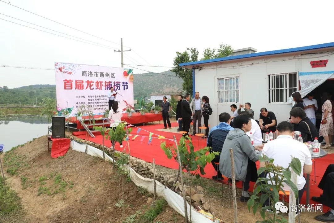 陕南养殖淡水龙虾,陕南哪里有养殖龙虾