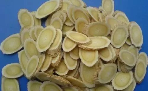 外行吃人参内行吃黄芪是什么意思,外行用人参内行用黄芪