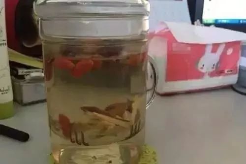 外行吃人参内行吃黄芪是什么意思,外行用人参内行用黄芪