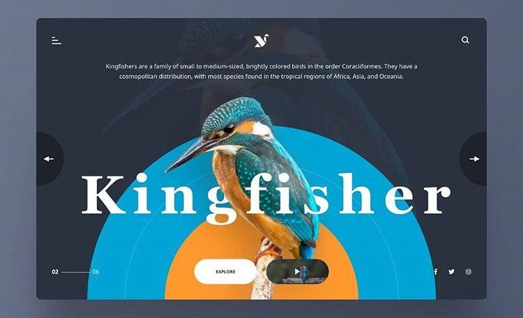 背景设计和搭配设计区别,背景真的很重要吗