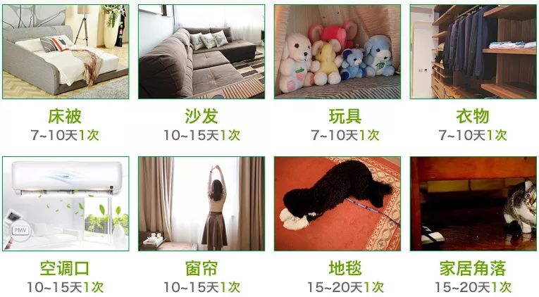 除螨仪只要一块钱有效去除螨虫,澳洲去螨虫喷雾