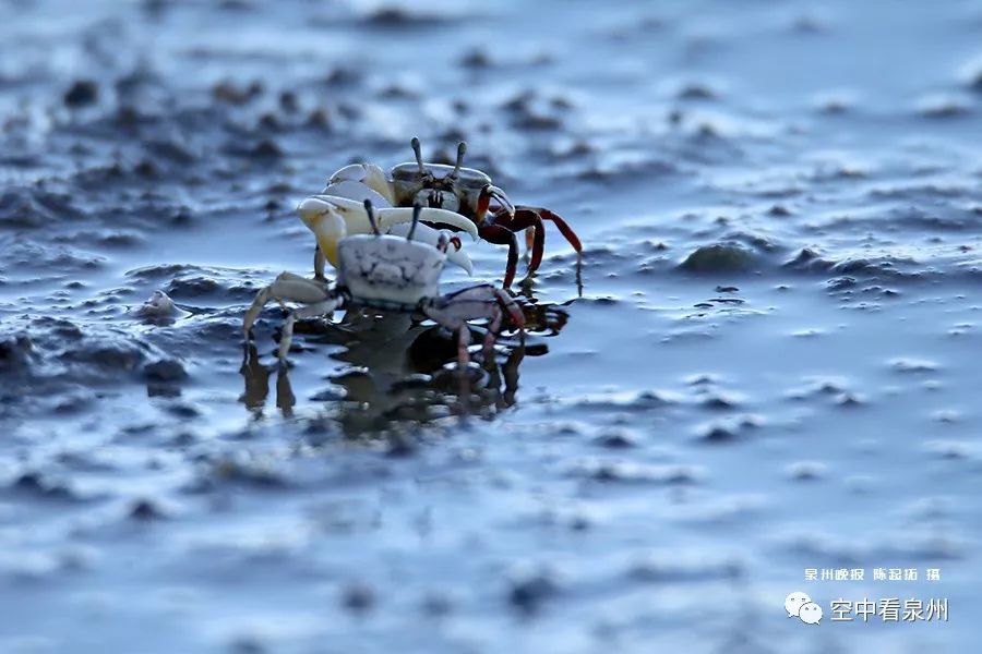 对不起，东海就是这么美