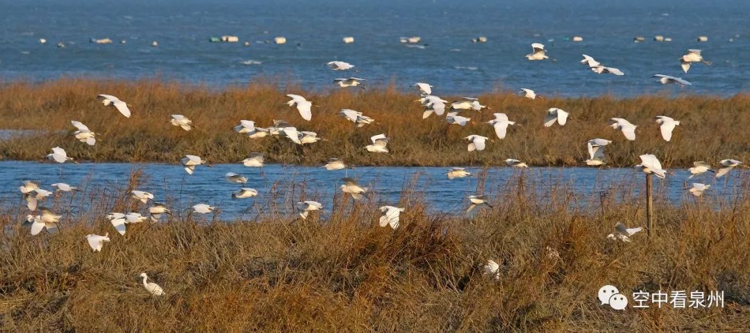 对不起，东海就是这么美