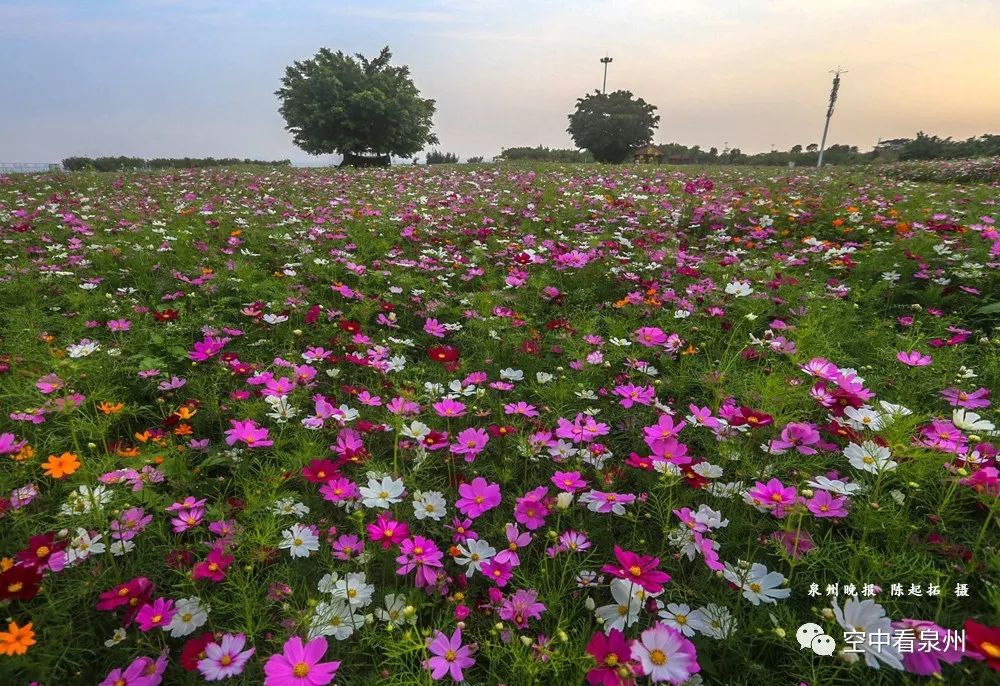 对不起，东海就是这么美