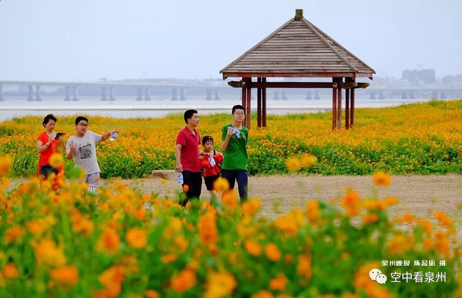 对不起，东海就是这么美