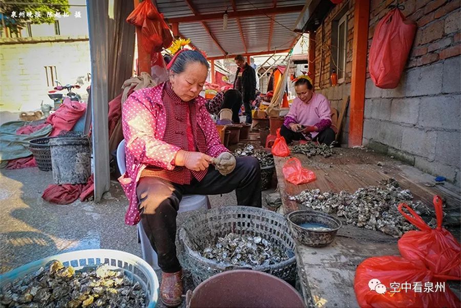 对不起，东海就是这么美