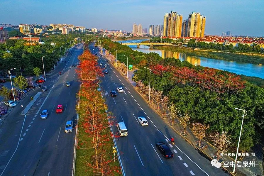 对不起，东海就是这么美