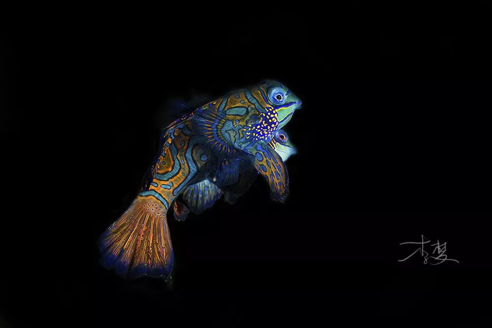 最便宜免签的海岛,小众便宜国外海岛旅游免签