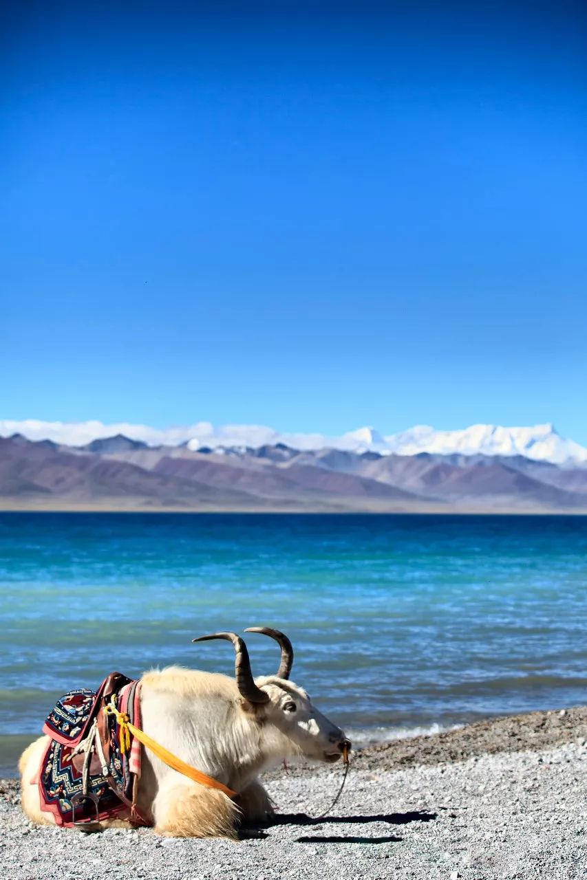 一个人说走就走旅行清单,一个人的旅行清单不用等最爱的人