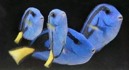 whatsapp时钟不正确怎么调,whatsapp显示版本过低