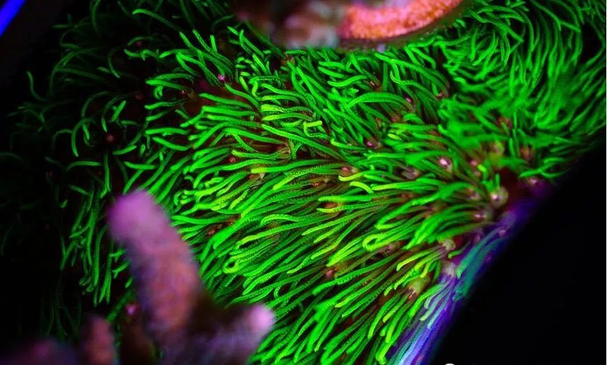 whatsapp时钟不正确怎么调,whatsapp显示版本过低