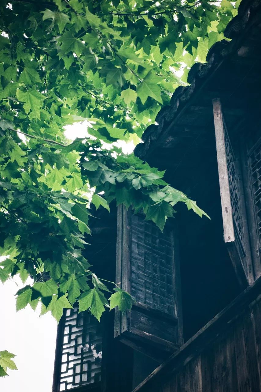 一个人说走就走旅行清单,一个人的旅行清单不用等最爱的人