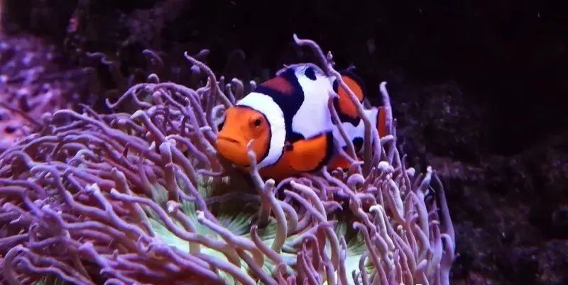 whatsapp时钟不正确怎么调,whatsapp显示版本过低