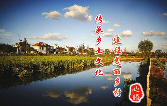 沈冰上节目完整版,沈冰冰看比赛