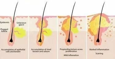 21天测评,21天全测评