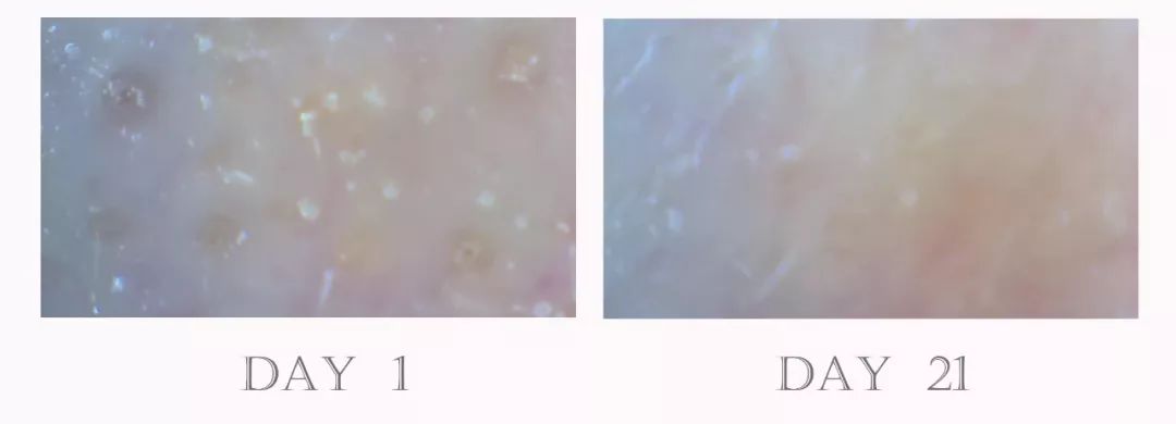 21天测评,21天全测评