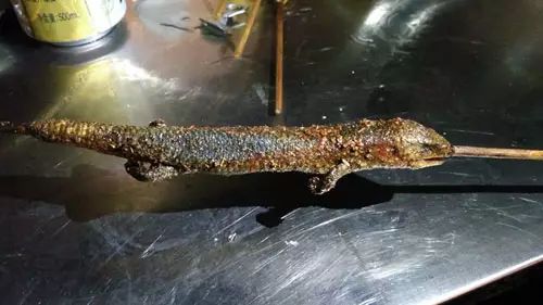 农村的娃娃捉蛇玩,农村娃玩的四脚蛇你小时候抓过吗