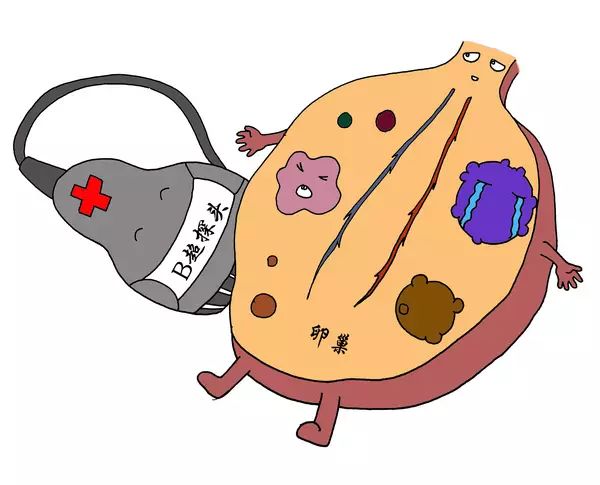 医生做B超时都在看什么?