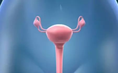 医生做B超时都在看什么?