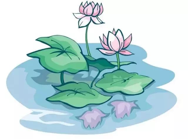 粉嫩暴击!建德这个地方会飘“仙气”,看一眼就醉!