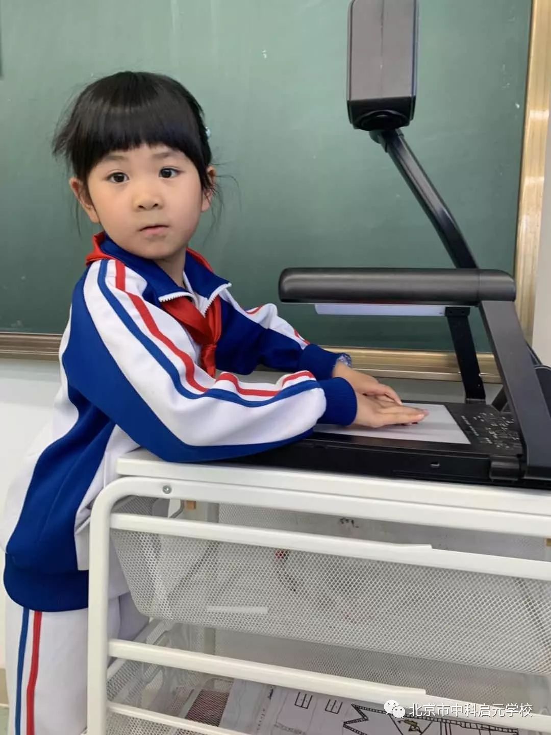 七巧板益智卡片,七巧板情景卡片