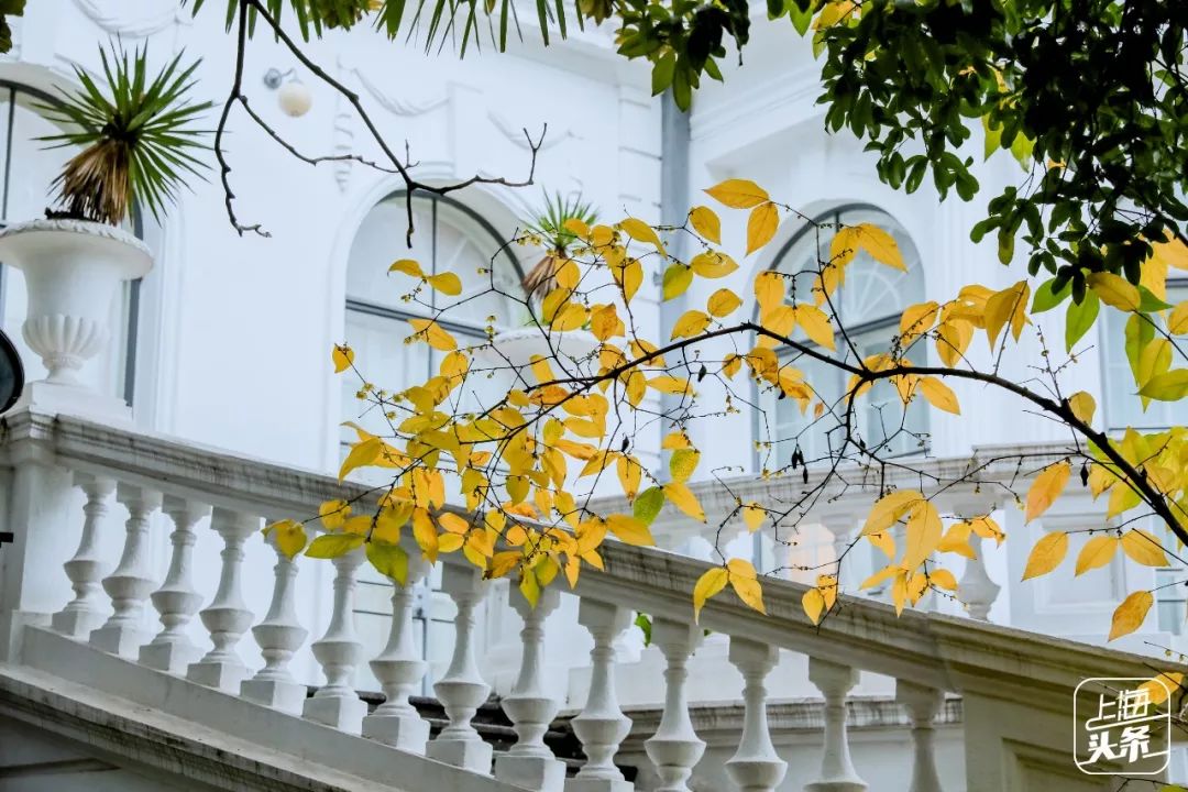 去处|雨你有瓜！你知道吗，魔都的楼梯都能美成这个亚子
