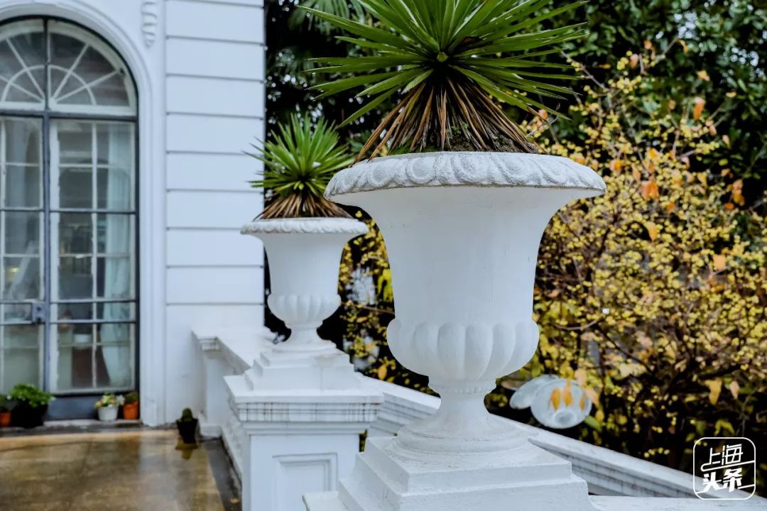 去处|雨你有瓜!你知道吗,魔都的楼梯都能美成这个亚子