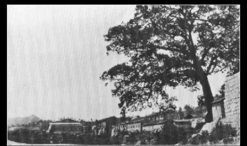 老照片100张阜阳三角洲,高清阜阳八十年代照片