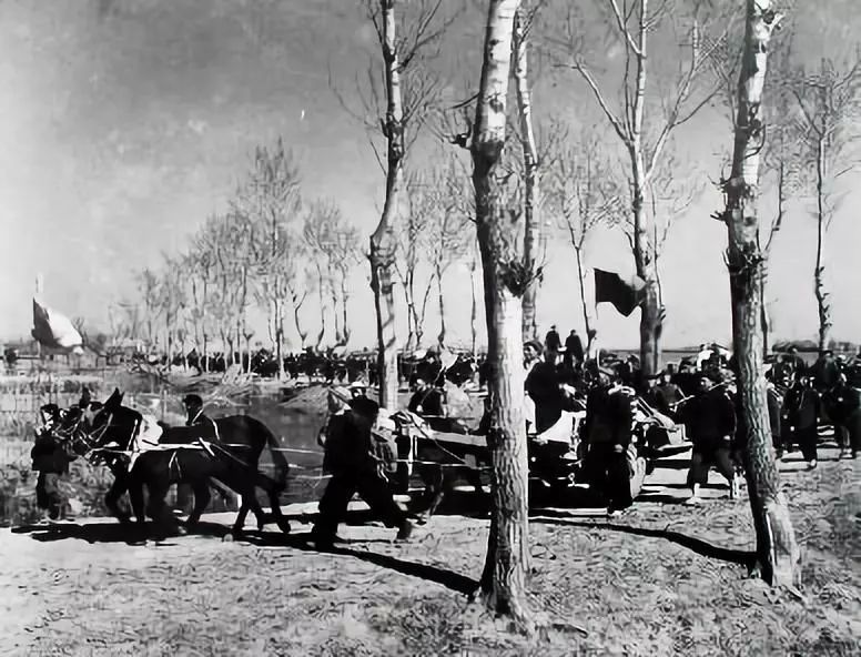 老照片100张阜阳三角洲,高清阜阳八十年代照片