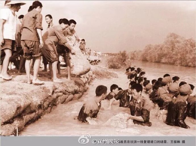 老照片100张阜阳三角洲,高清阜阳八十年代照片