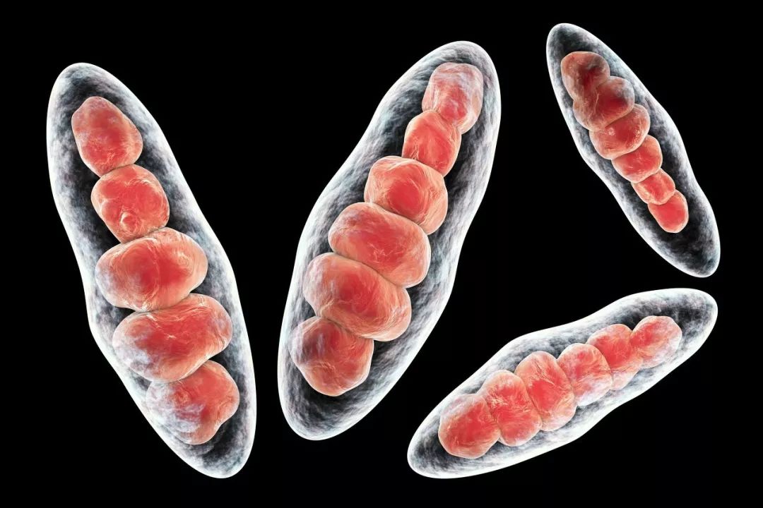 袜子能跟内衣裤一起洗么,裤袜子可以一起洗吗