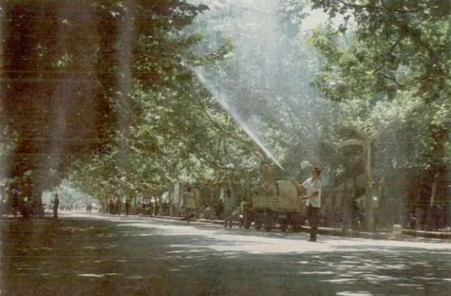 老照片100张阜阳三角洲,高清阜阳八十年代照片