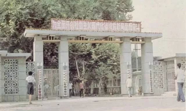 老照片100张阜阳三角洲,高清阜阳八十年代照片