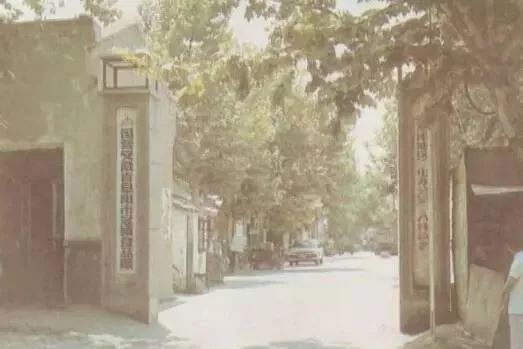 老照片100张阜阳三角洲,高清阜阳八十年代照片